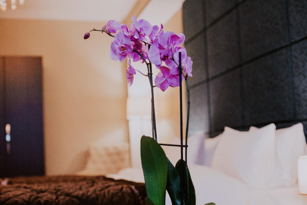 Viva Boutique Hotel 바쿠 외부 사진